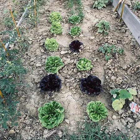 וילה Immersa Nei Campi