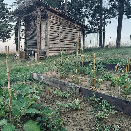 Immersa Nei Campi Casal Fiumanese