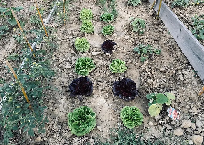 Вилла Immersa Nei Campi