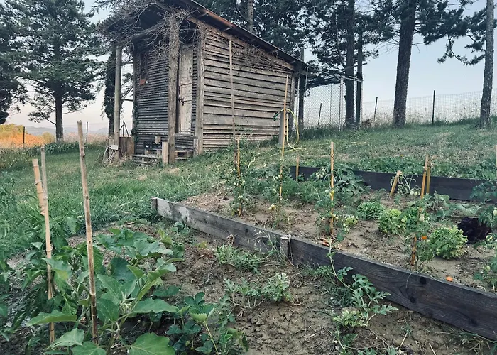 Immersa Nei Campi Casal Fiumanese